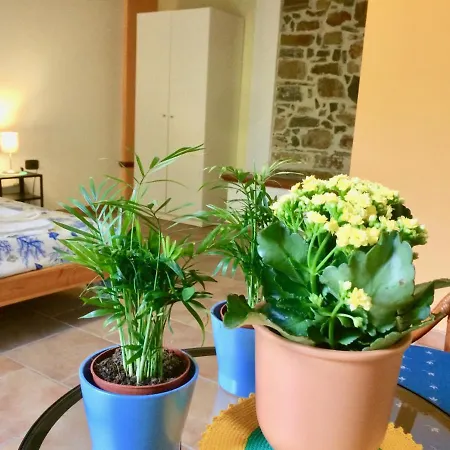 Guest house Rizzo Lovely