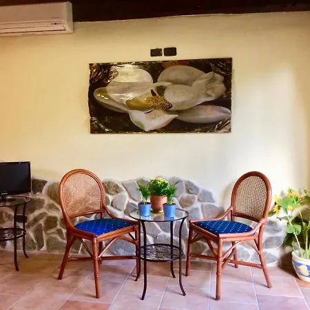 Guest house Rizzo Lovely *