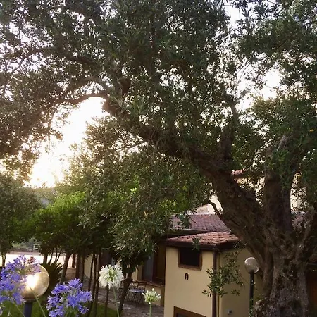 Rizzo Lovely Guest house